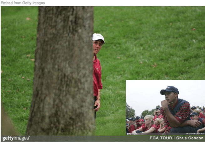 Phil Mickelson standing behind a tree with Tiger Woods inset looking on