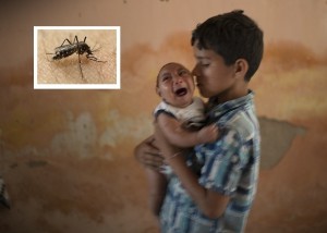 Brazil-Zika-Birth-Defects-620x443