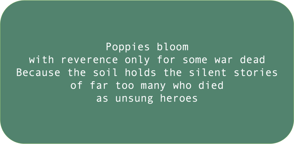 Poppies bloom with reverence only for some war dead Because the soil holds the silent stories of far too many who died as unsung heroes 