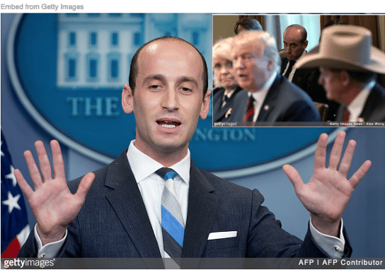 Stephen Miller at White House briefing and in Cabinet room sitting behind Trump
