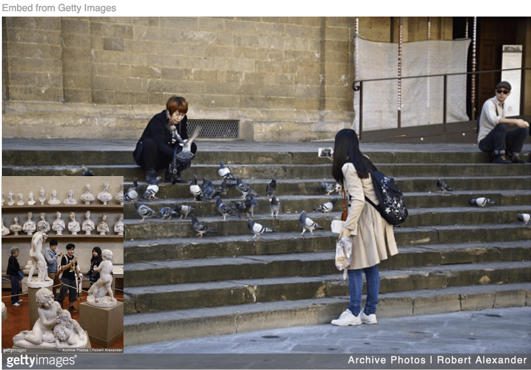 Chinese tourists feeding pigeons in Italy and touring marble statues inset while taking pictures