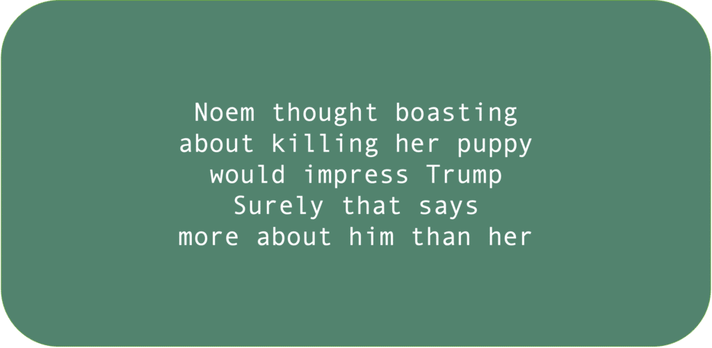 Noem thought boasting about killing her puppy would impress Trump. Surely that says more about him than her.