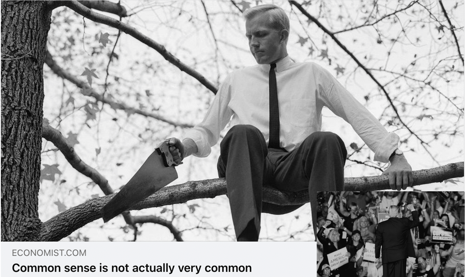 Man representing Republicans out on a limb while sawing it off