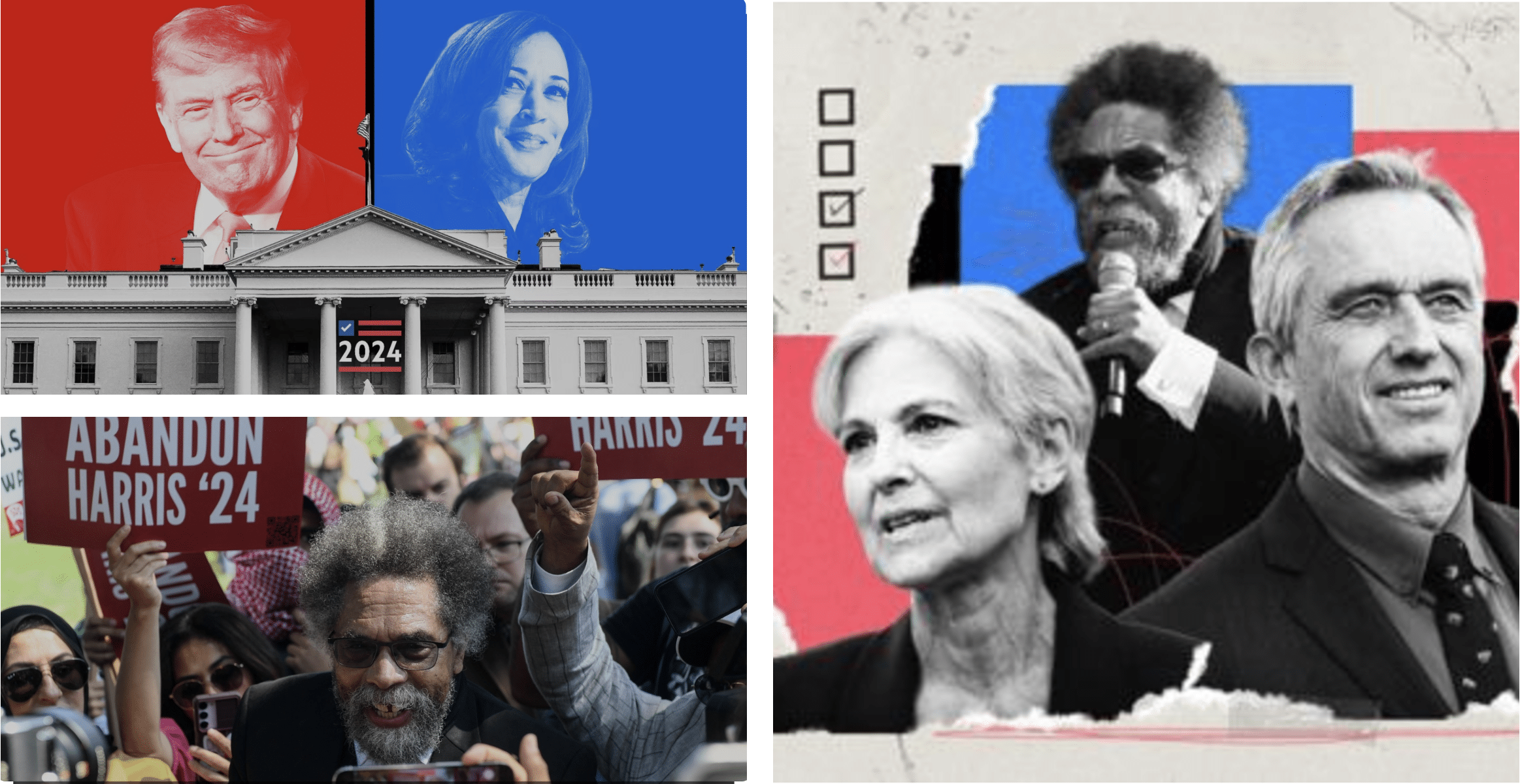 Cornel West's spoiler presidential campaign