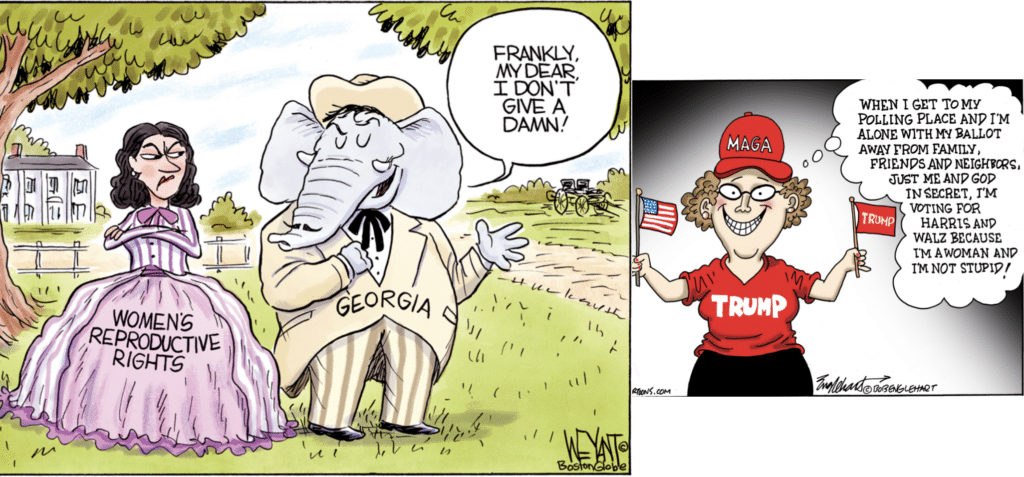 cartoon about MAGA women voting against Trump to save democracy