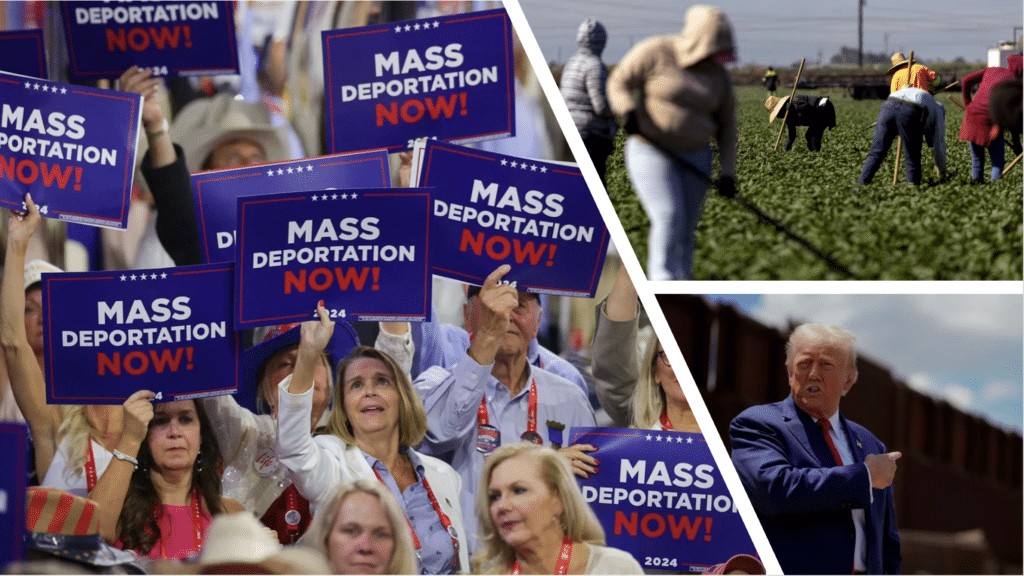 images of migrant farmers working and Amercans rallying for mass dportation