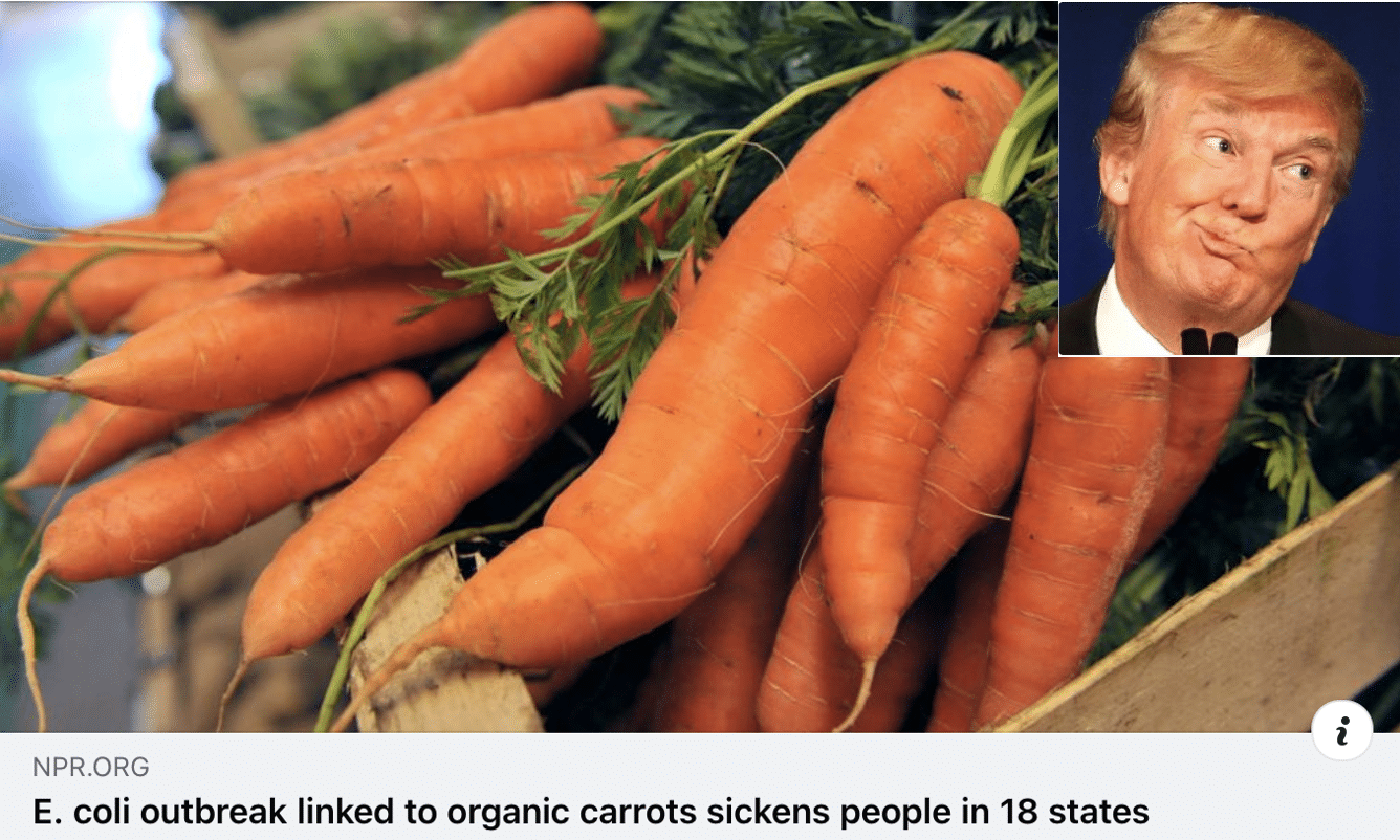 juxtaposing orange carrots and orange Trump after e coli outbreak