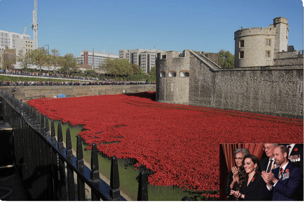 Poppies on display at royal castle in England