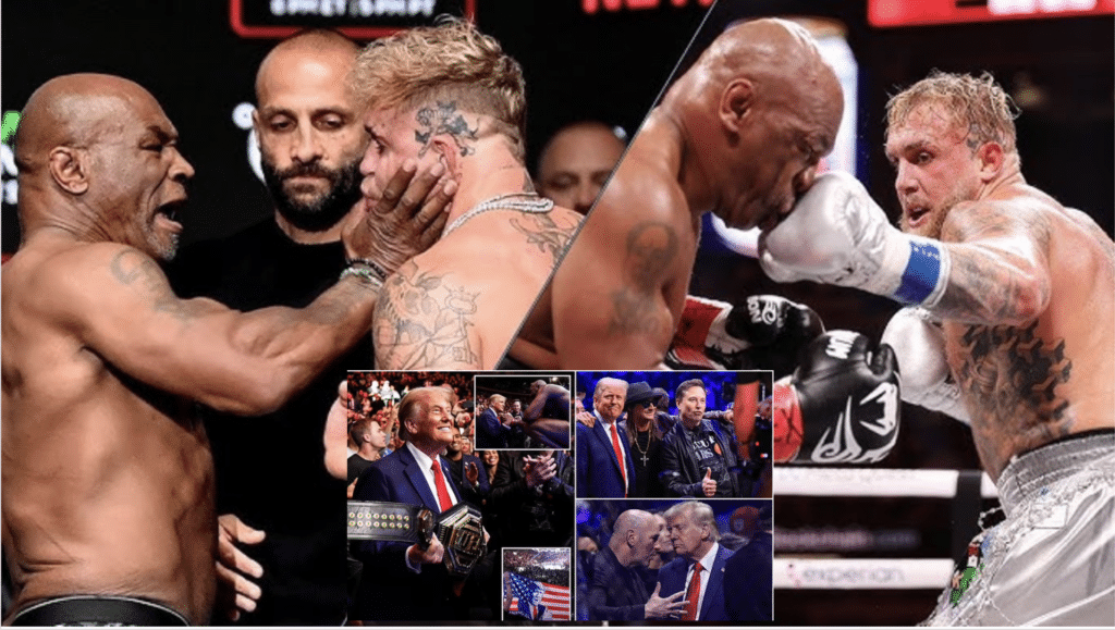 collage of Jake Paul vs Mike Tyson and images of Trump at UFC fight