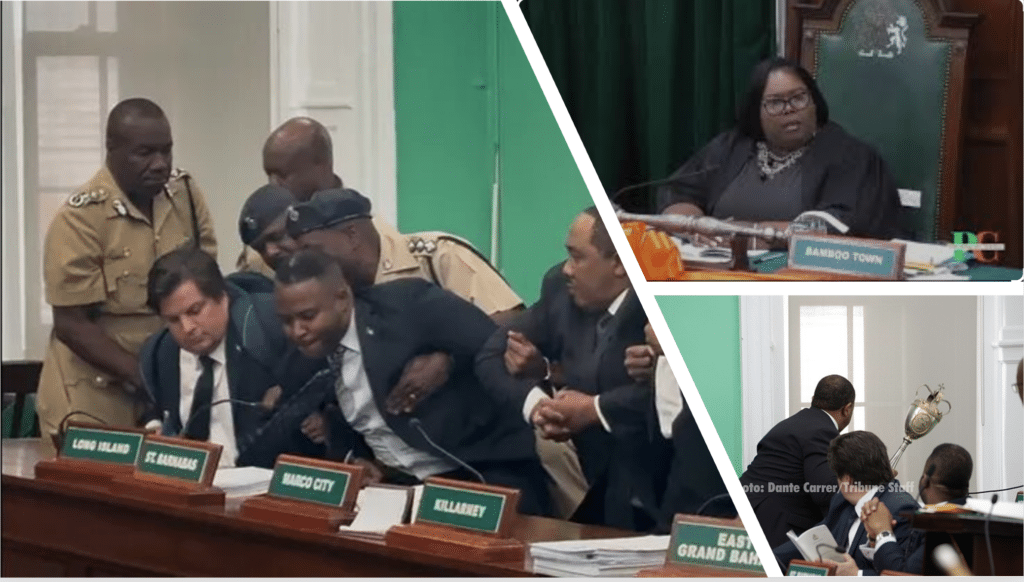 images of melee in Bahamas Parliament after MP threw ceremonial mace out the window