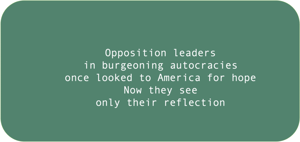 Opposition leaders in burgeoning autocracies once looked to America for hope Now they see only their reflection