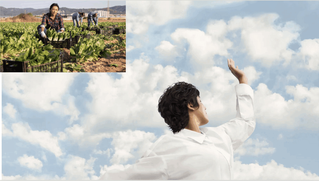 Pantone White cloud dance with Brown farm worker