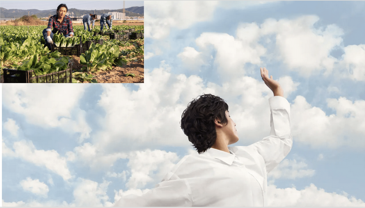 Pantone White cloud dance with Brown farm worker